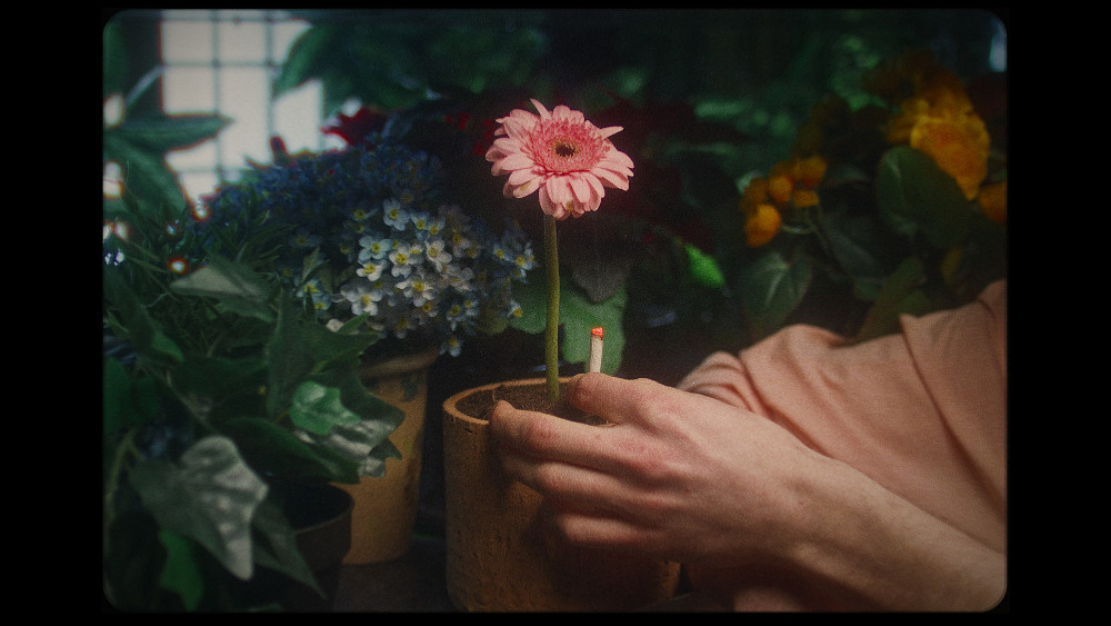 Standbild "Flowerboy" (2022)